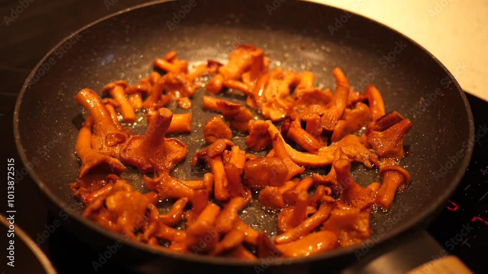 Frying chanterelle mushrooms in a frying pan - cooking at home Frying chanterelle mushrooms in a frying pan - cooking at home