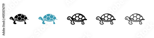 Tortoise vector icon set in black and blue colors.