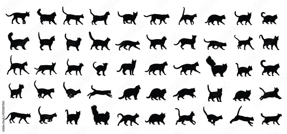 Fototapeta premium Cat Breeds silhouette set