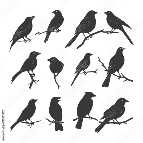 Wallpaper Mural Black and White Bird Silhouettes Perched on Branches Torontodigital.ca