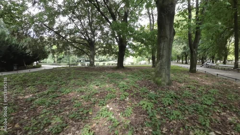 A first-person view FPV flight through a park in Warsaw , Poland. The video is taken from the perspective of a drone, and it provides a unique view of the parks many features. The drone flies through A first-person view FPV flight through a park in Warsaw , Poland. The video is taken from the perspective of a drone, and it provides a unique view of the parks many features. The drone flies through