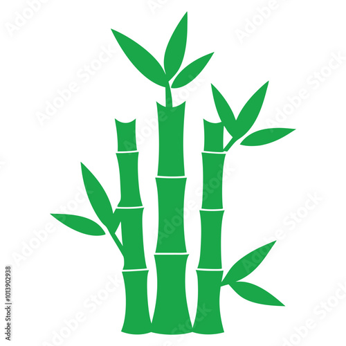 bamboo isolated on white background