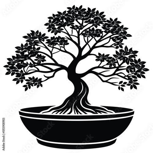 bonsai tree on white