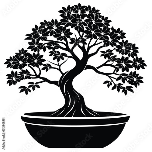 a bonsai banyan tree on a flat tub