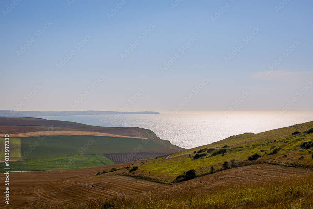 Fototapeta premium Les prairies de Cap Blanc Nez et la manche