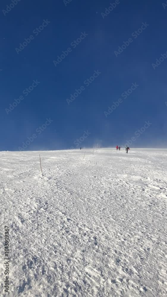 Dumbier, Nizke Tatry, Low Tatras, Slovakia. Heavy wind and windstorm under top, peak and summit of mountain in winter. Hikers, tourists and extreme weather with flying snow. Vertical video. Dumbier, Nizke Tatry, Low Tatras, Slovakia. Heavy wind and windstorm under top, peak and summit of mountain in winter. Hikers, tourists and extreme weather with flying snow. Vertical video.