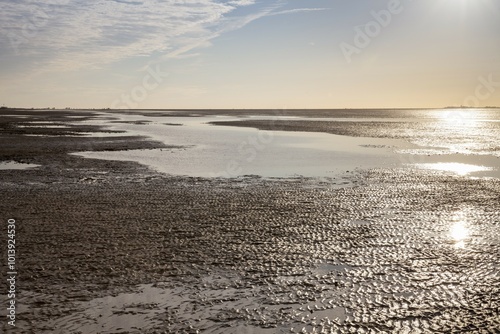 Evening mood in the Lower Saxon Wadden Sea National Park at low tide, Lower Saxony, Germany, Europe photo