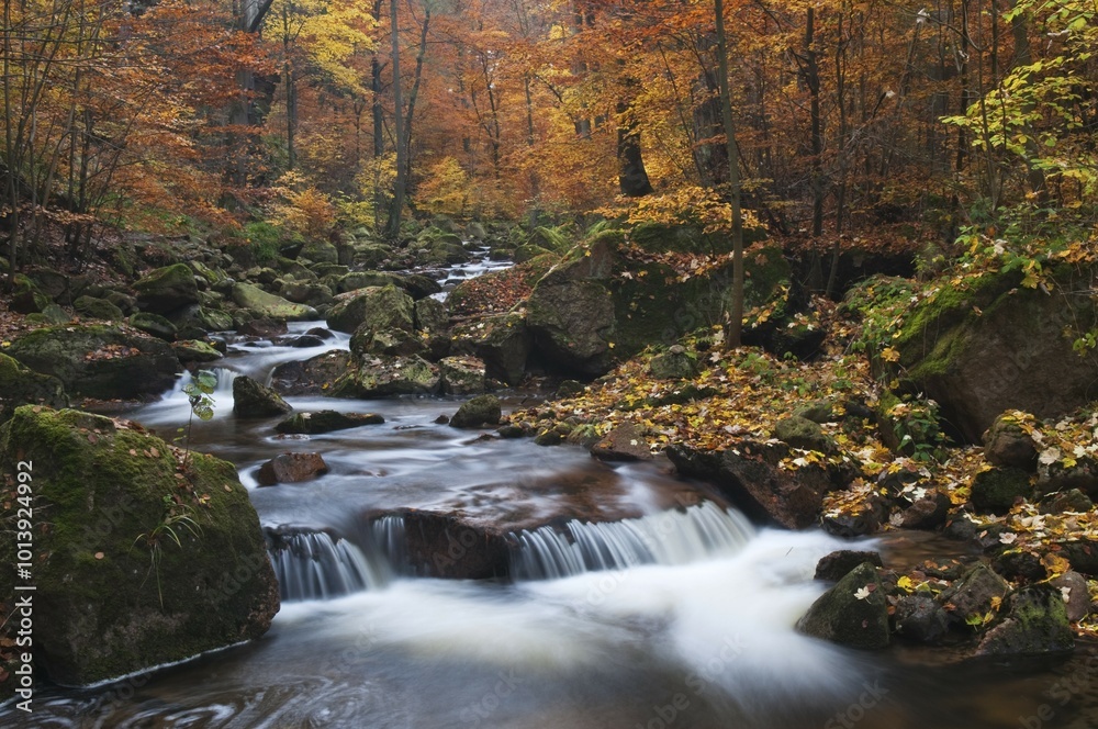 Ilse brook in autumn, rapids, Ilsetal valley, Harz region, Saxony-Anhalt, Germany, Europe Ilse brook in autumn, rapids, Ilsetal valley, Harz region, Saxony-Anhalt, Germany, Europe