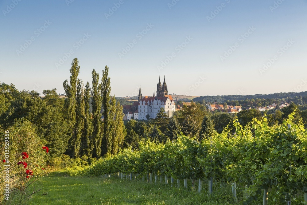 Naklejka premium Albrechtsburg Castle and Cathedral of the Cat Steps in Proschwitz, Meissen, Saxony, Germany, Europe