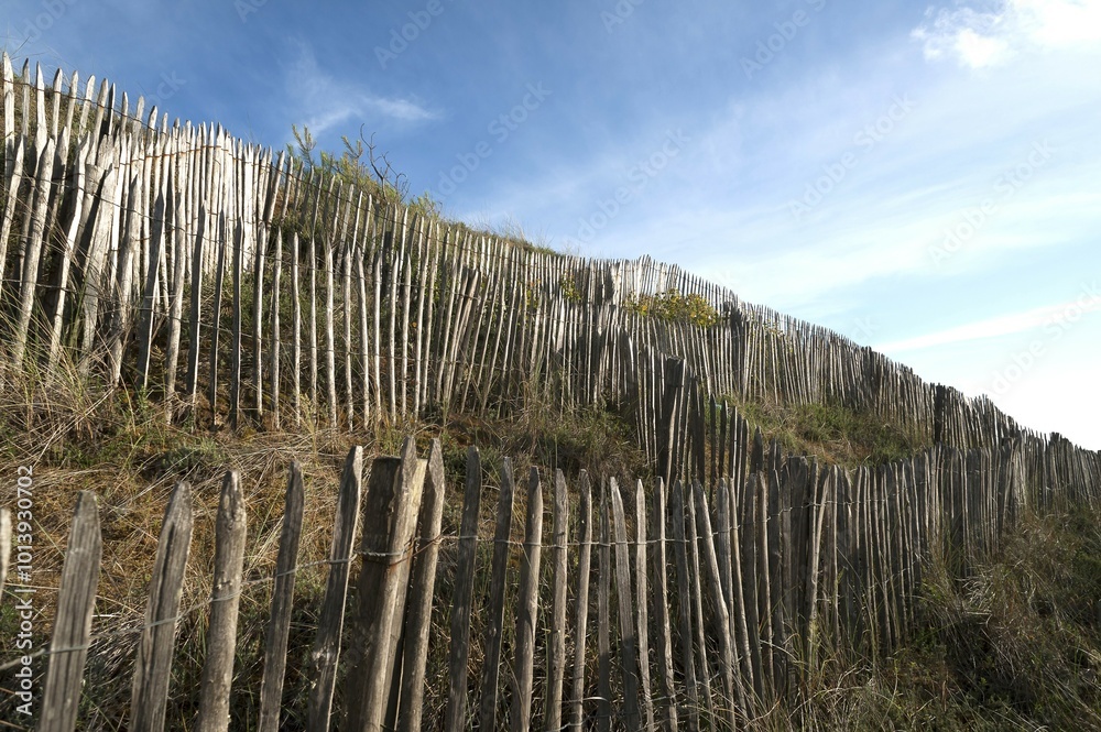 Fototapeta premium Fences to protect dunes by the Atlantic coast, La Tranche-sur-Mer, France, Europe