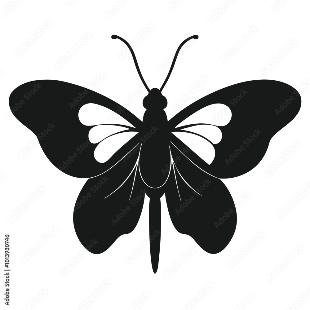 butterfly silhouette on white background butterfly silhouette on white background