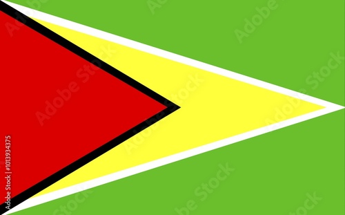 Flag of Guyana