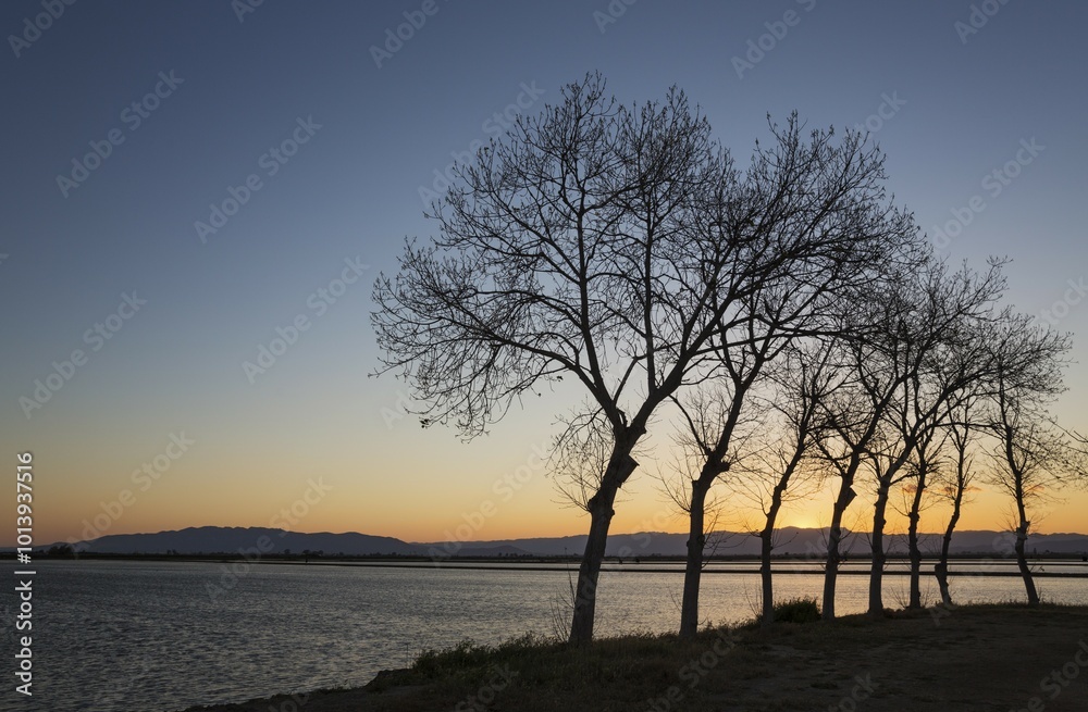 Flooded rice field at sunset, Ebro Delta Nature Reserve, Tarragona province, Catalonia, Spain, Europe Flooded rice field at sunset, Ebro Delta Nature Reserve, Tarragona province, Catalonia, Spain, Europe