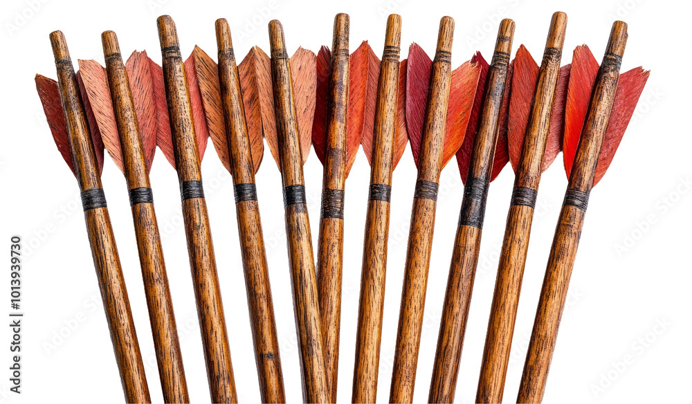 Fototapeta premium Colorful arrow fletchings on wooden shafts