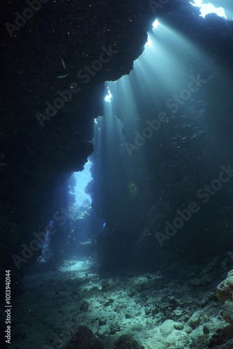 Light rays, sun rays in cave, underwater, Shaab Claudia reef dive site, Red Sea, Egypt, Africa photo