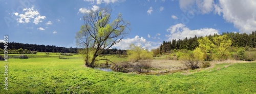 Bilde på lerret Spring at the idyllic brook and biotope Morsbach, Emsing, Titting, nature park P