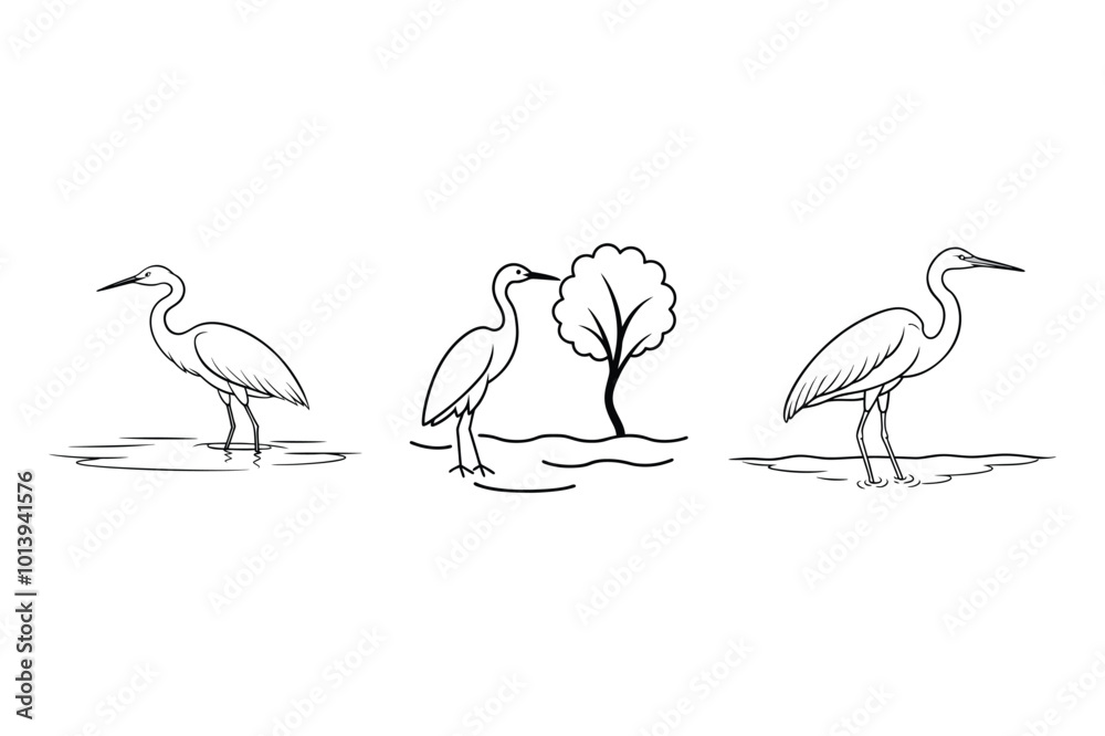 Obraz premium Egret Set Line Art Vector Illustration