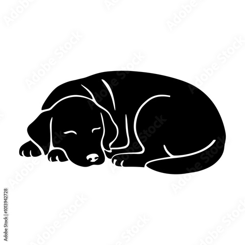 Labrador Dog Sleeping