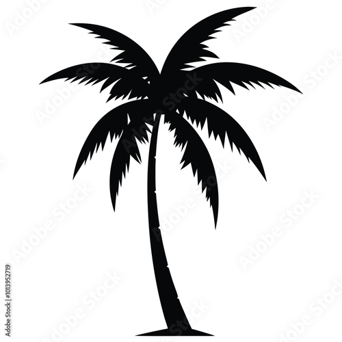 palm tree silhouette