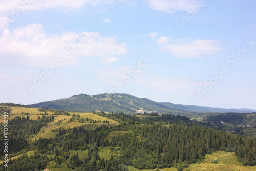 Picturesque view of forest in mountains under blue sky