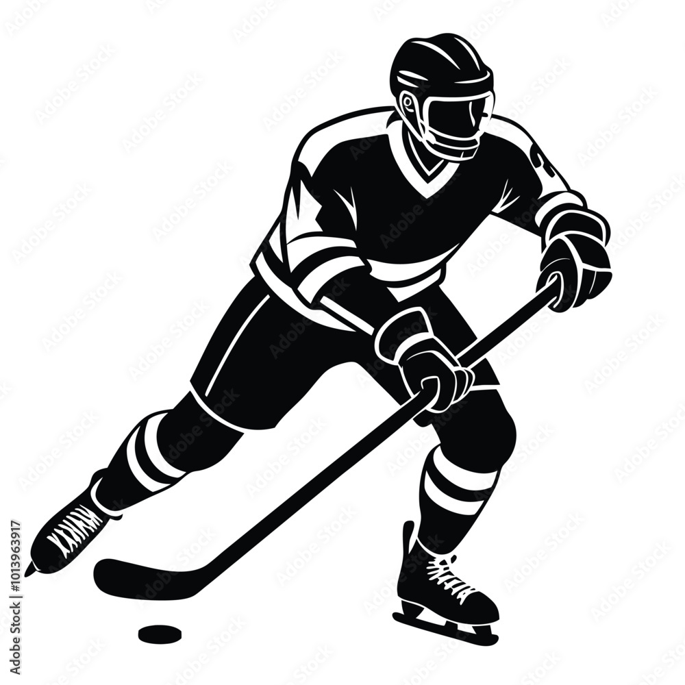 Fototapeta premium a ice hockey playing silhouette vector