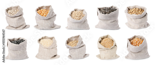 Different cereal grains, seeds and beans in sacks on white background, collection