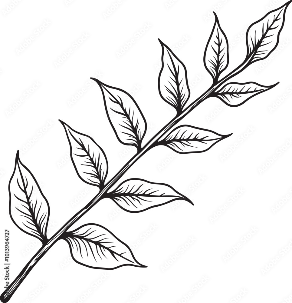 Fototapeta premium a black and white line drawing of a branch with six leaves. The leaves are arranged in a symmetrical pattern