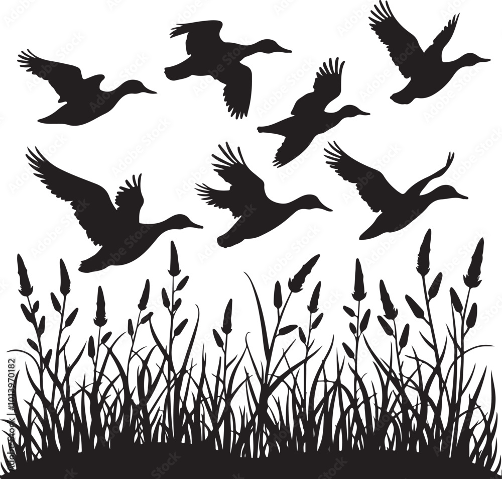Obraz premium duck bird flock flight over marsh herbs, vector silhouette, isolated on white background 