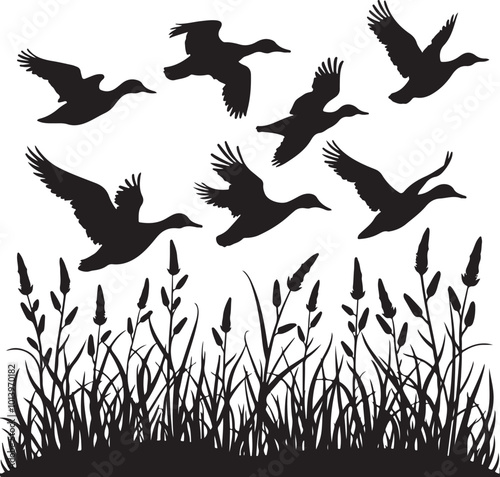 duck bird flock flight over marsh herbs, vector silhouette, isolated on white background 