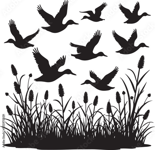 duck bird flock flight over marsh herbs, vector silhouette, isolated on white background 