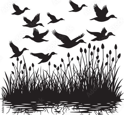 duck bird flock flight over marsh herbs, vector silhouette, isolated on white background 3