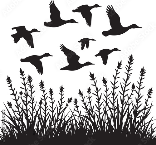 duck bird flock flight over marsh herbs, vector silhouette, isolated on white background 