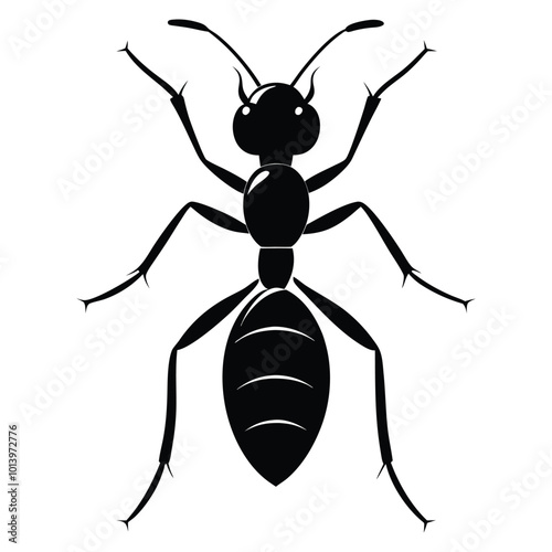 Ant. The silhouette of an ant. An image of an insect in a cartoon style. Vector illustration isolated on a white background
