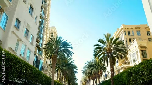 iconic palm trees Beverly Hills onsunny summer day vertical pan vibrant city stars fromcar's perspective capturing 