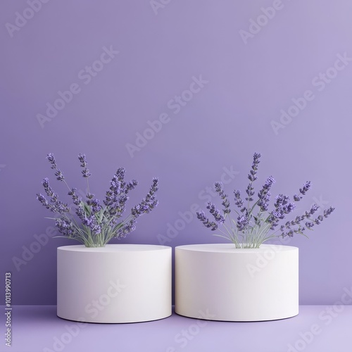 3d render of lavender flowers on podiums for product presentation3d render of white podium with lavender flowers on violet background photo