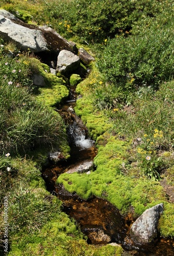 Headwater of West Red Lodge Creek in Beartooth Mountains, Montana