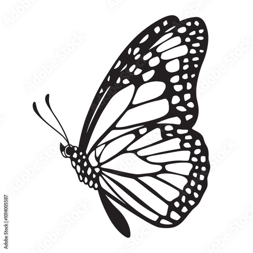 butterfly silhouette