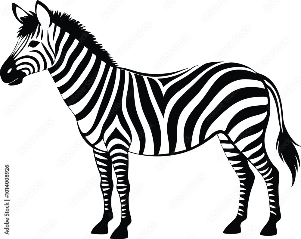 Fototapeta premium Black and white zebra standing calmly in a simple illustration style