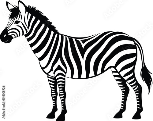 Black and white zebra standing calmly in a simple illustration style