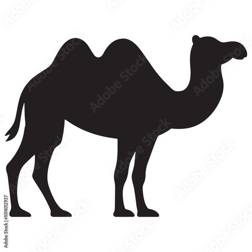 Camel Silhouette