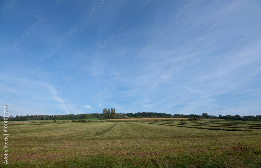 Lovely landscape with a gentle hill with a few cornifers growing on the horizon. The sky is blue and covered with clouds. Bare fields in the foreground. Lovely landscape with a gentle hill with a few cornifers growing on the horizon. The sky is blue and covered with clouds. Bare fields in the foreground.