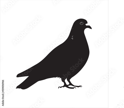 DOVE  Adobe Illustrator Artwork