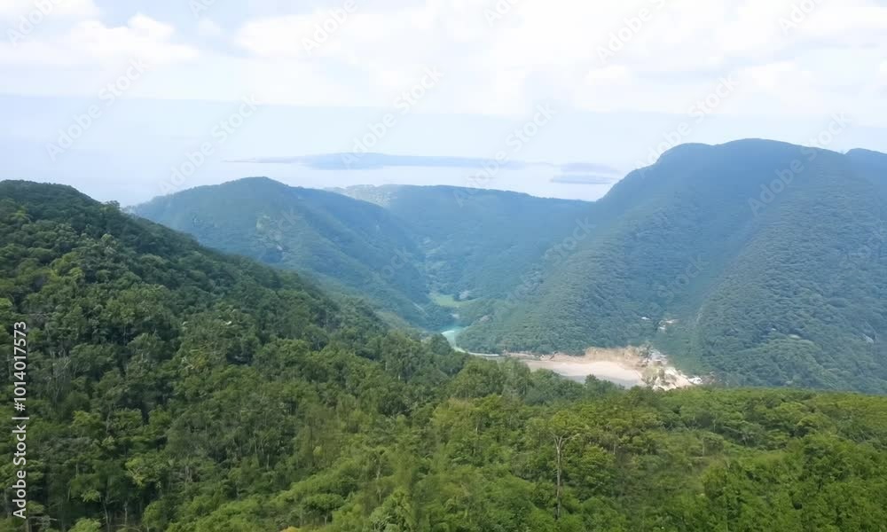 Lush green forest with a river running through it. The sky is clear and the sun is shining. hyperrealistic Video
