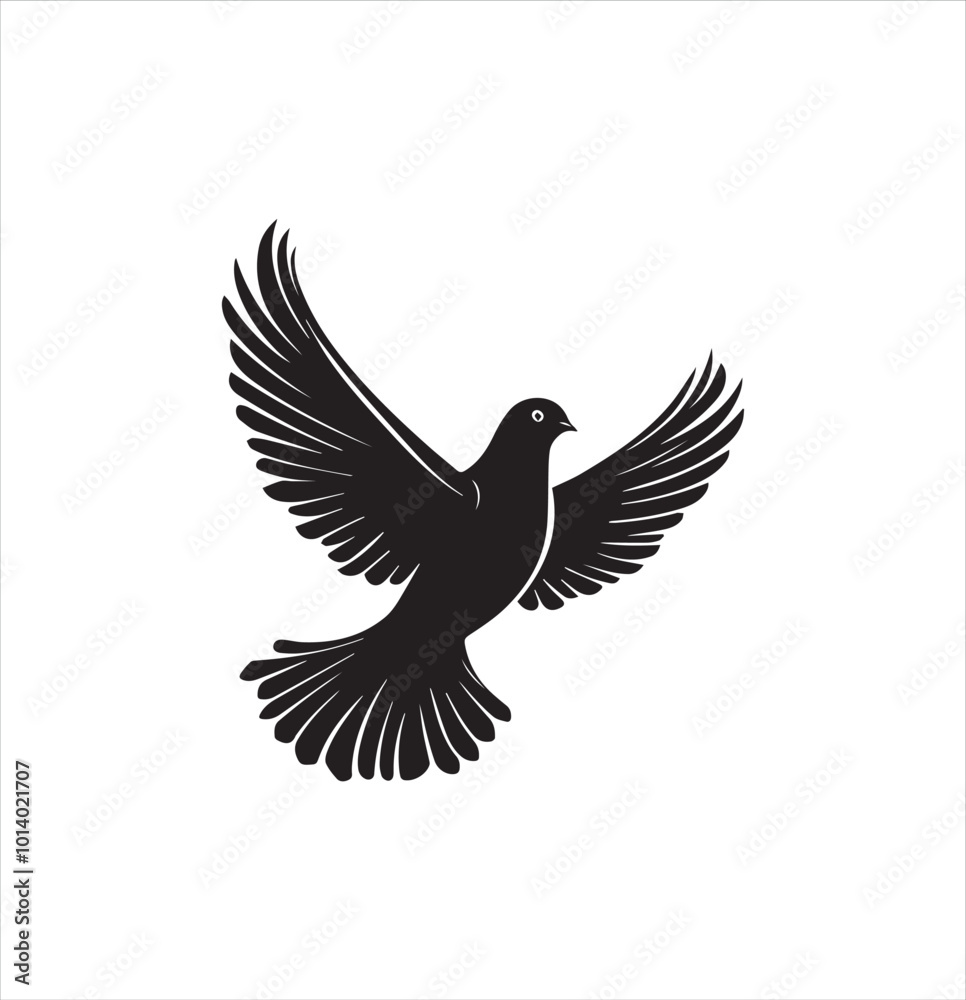 Obraz premium pigeon isolated on white background