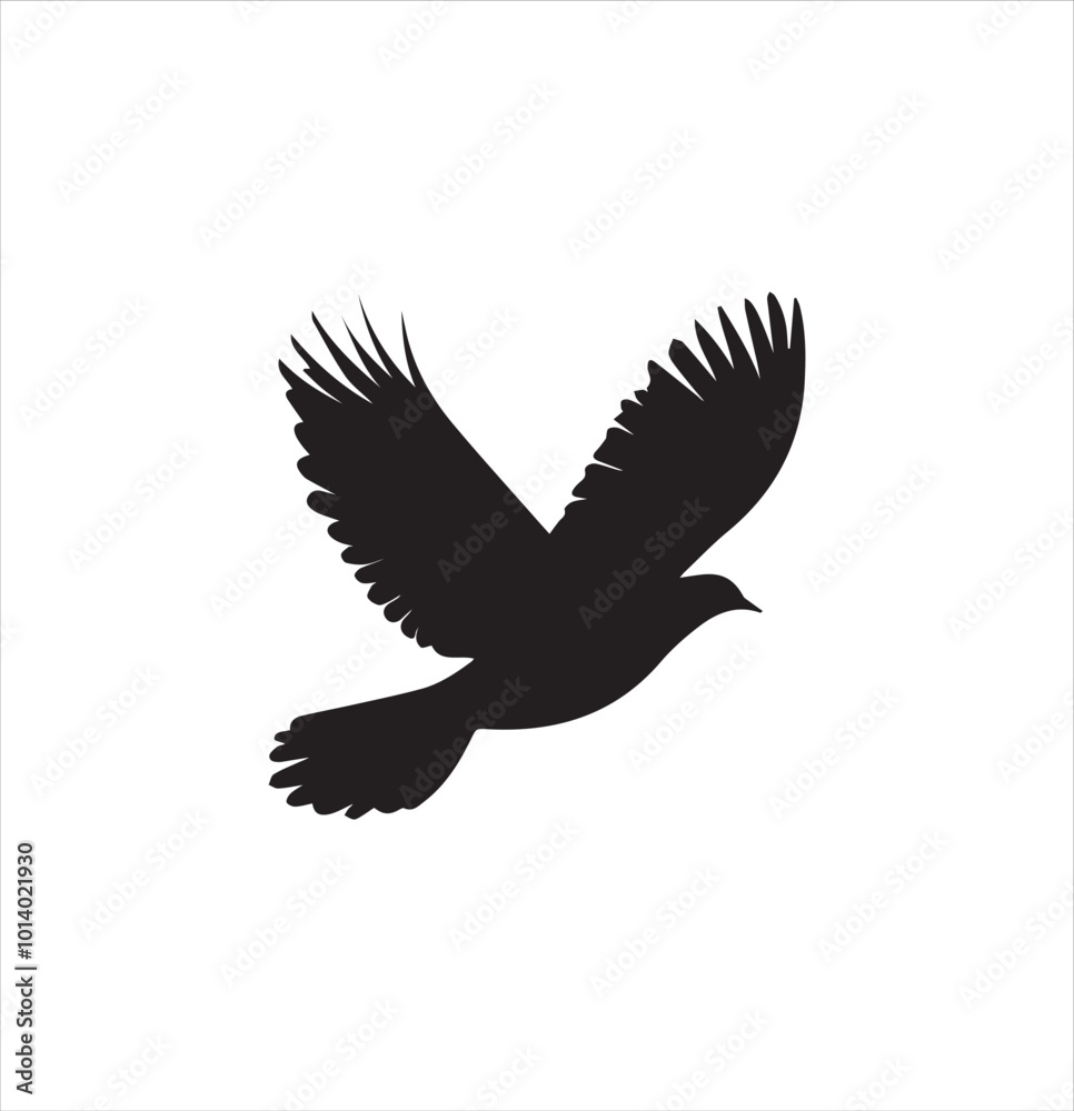 Fototapeta premium pigeon isolated on white background