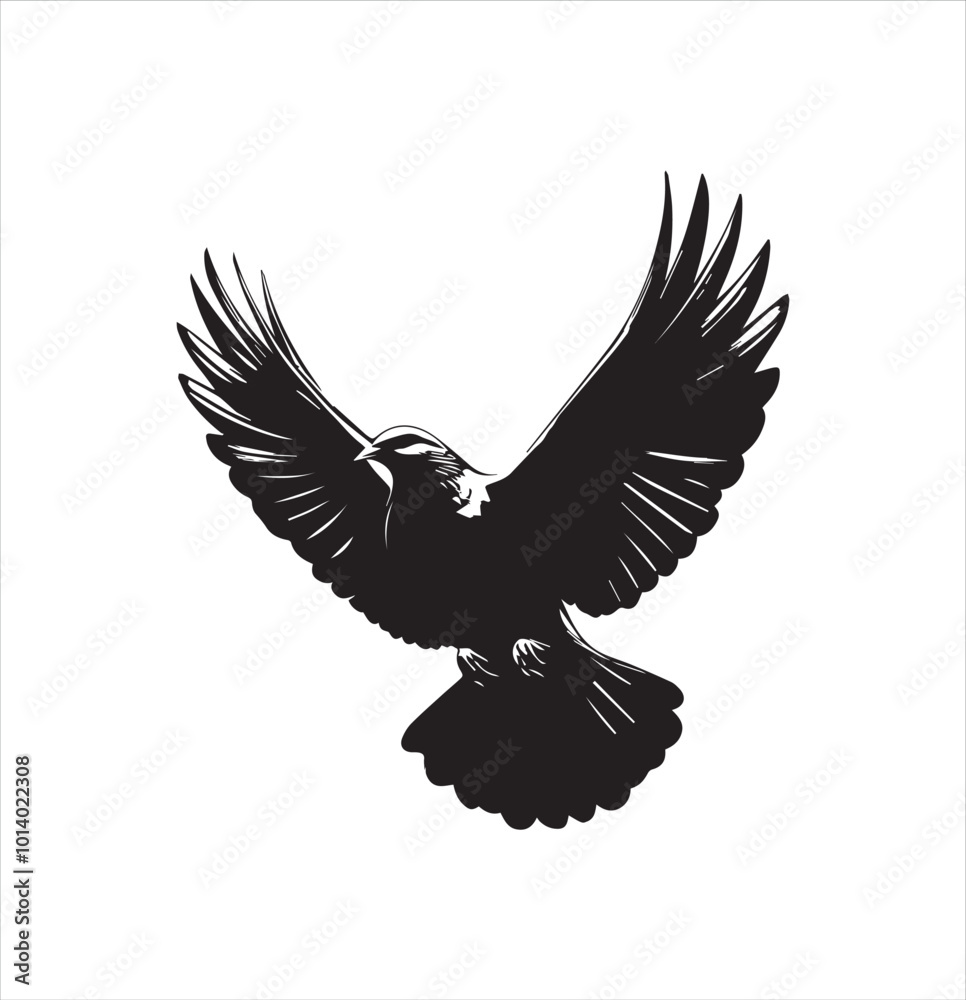 Obraz premium pigeon isolated on white background