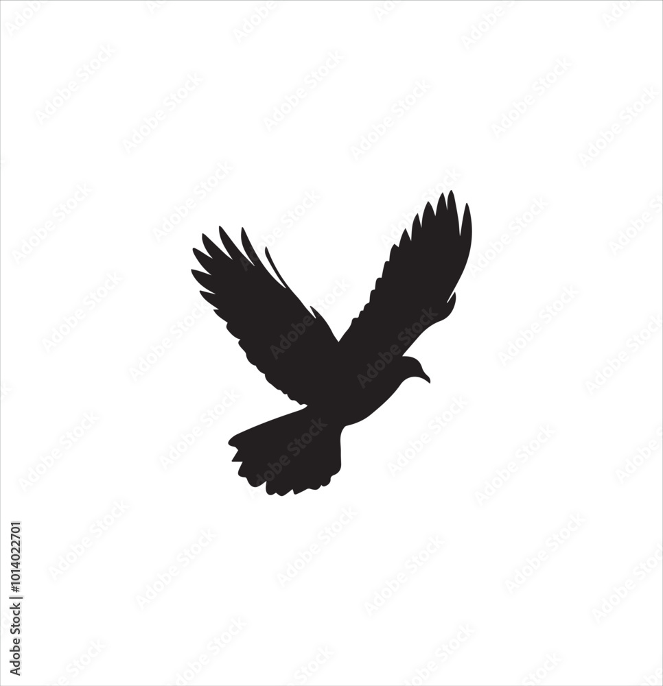 Obraz premium pigeon isolated on white background