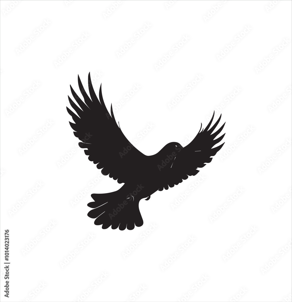 Obraz premium pigeon isolated on white background