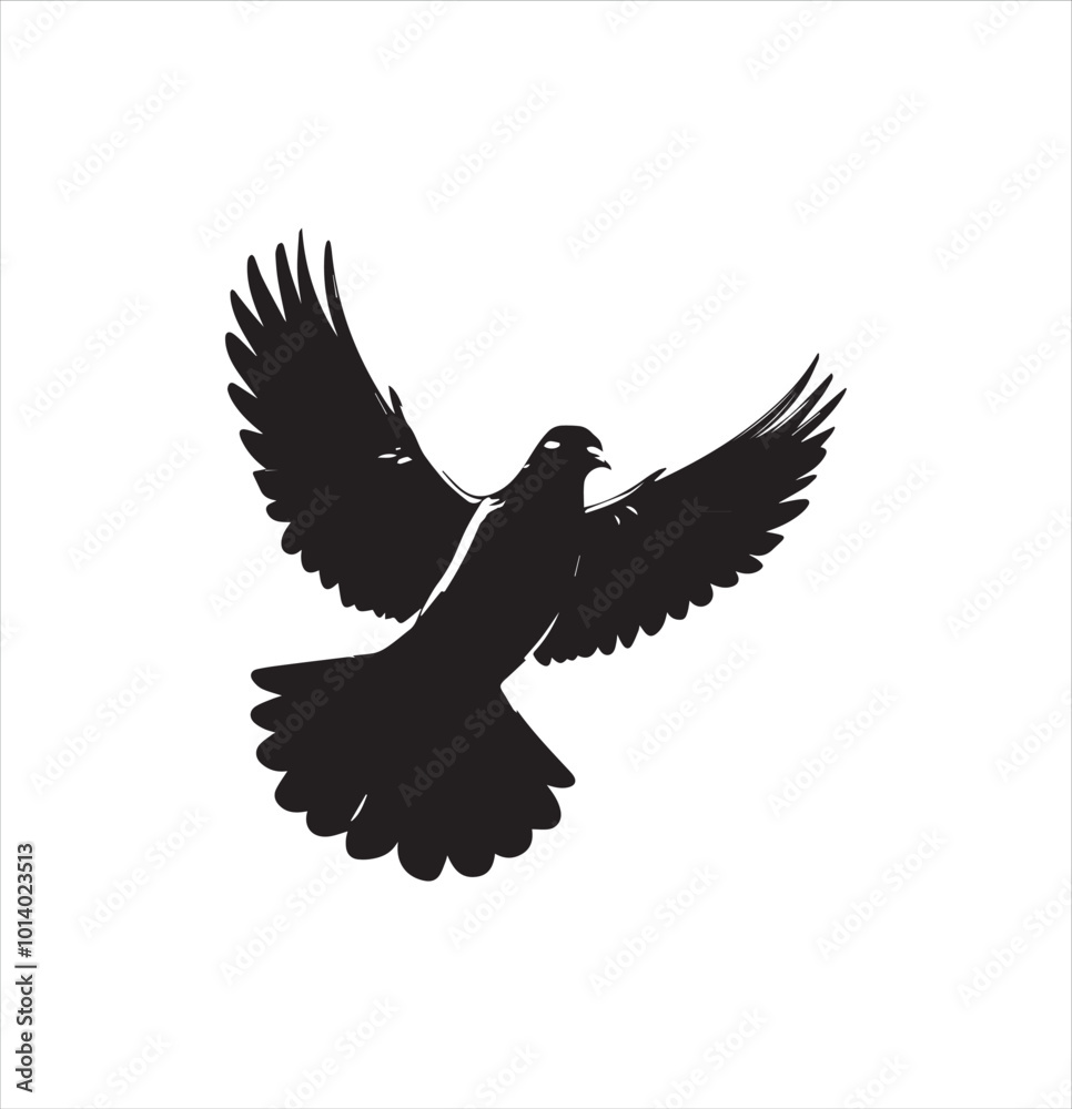 Fototapeta premium pigeon isolated on white background