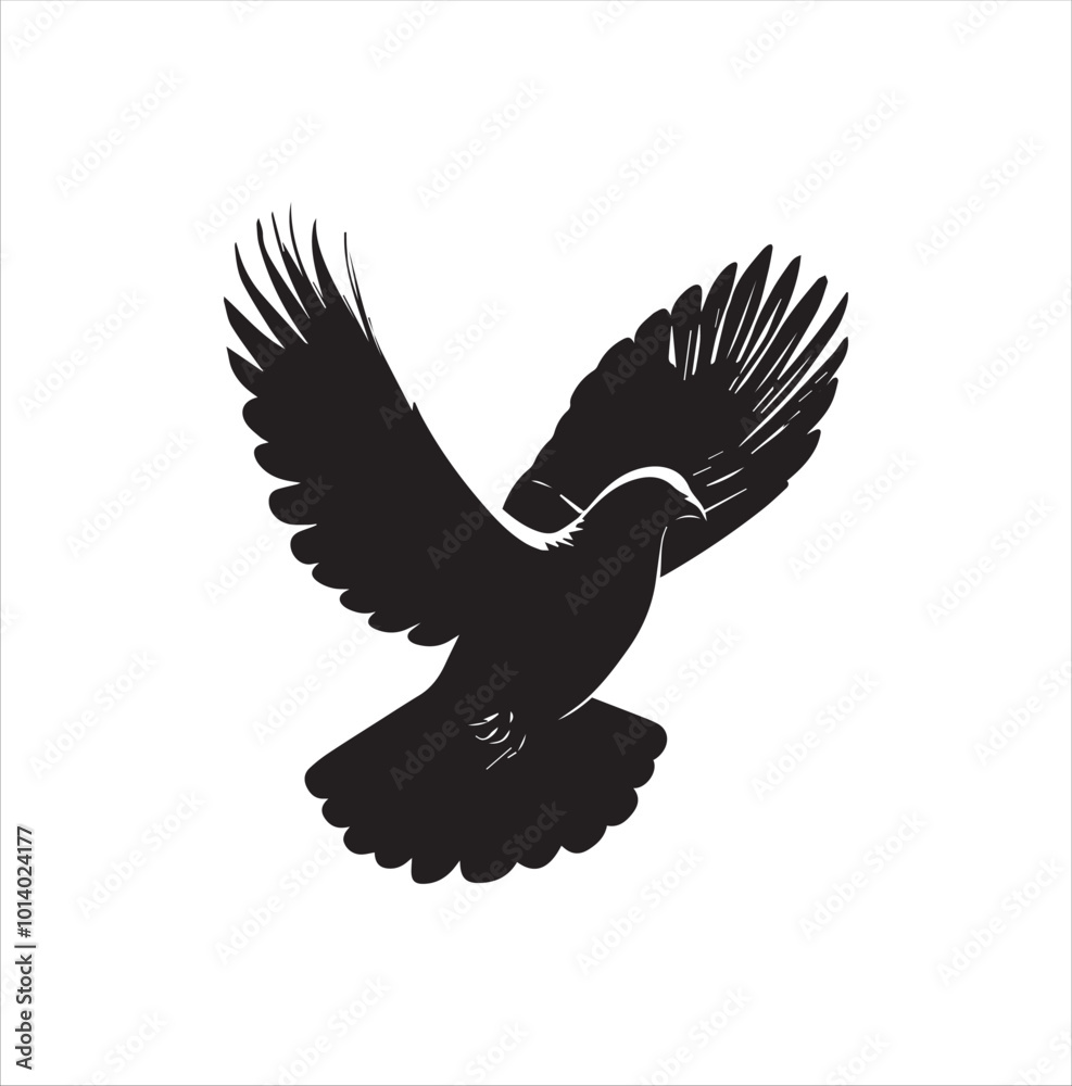 Obraz premium pigeon isolated on white background